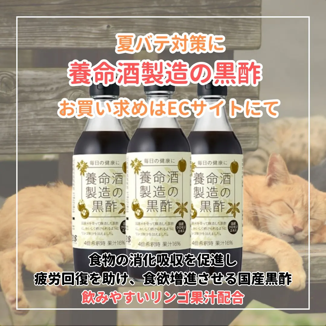 薬剤師が教える夏バテその１