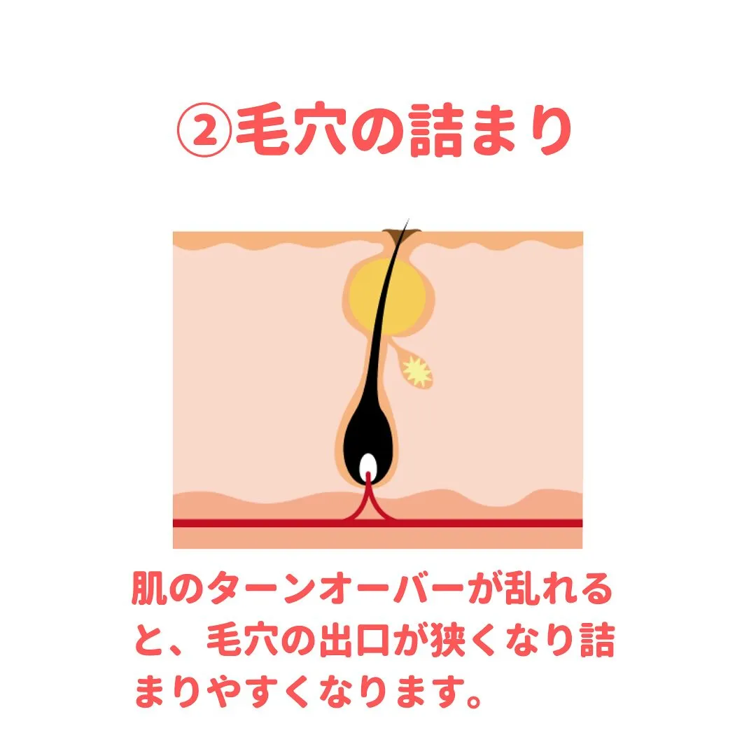 💊 薬剤師が教える身になるミニコラム 💊